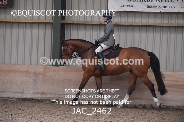 JAC_2462 - CLASS 3 Intermediate Working Hunter