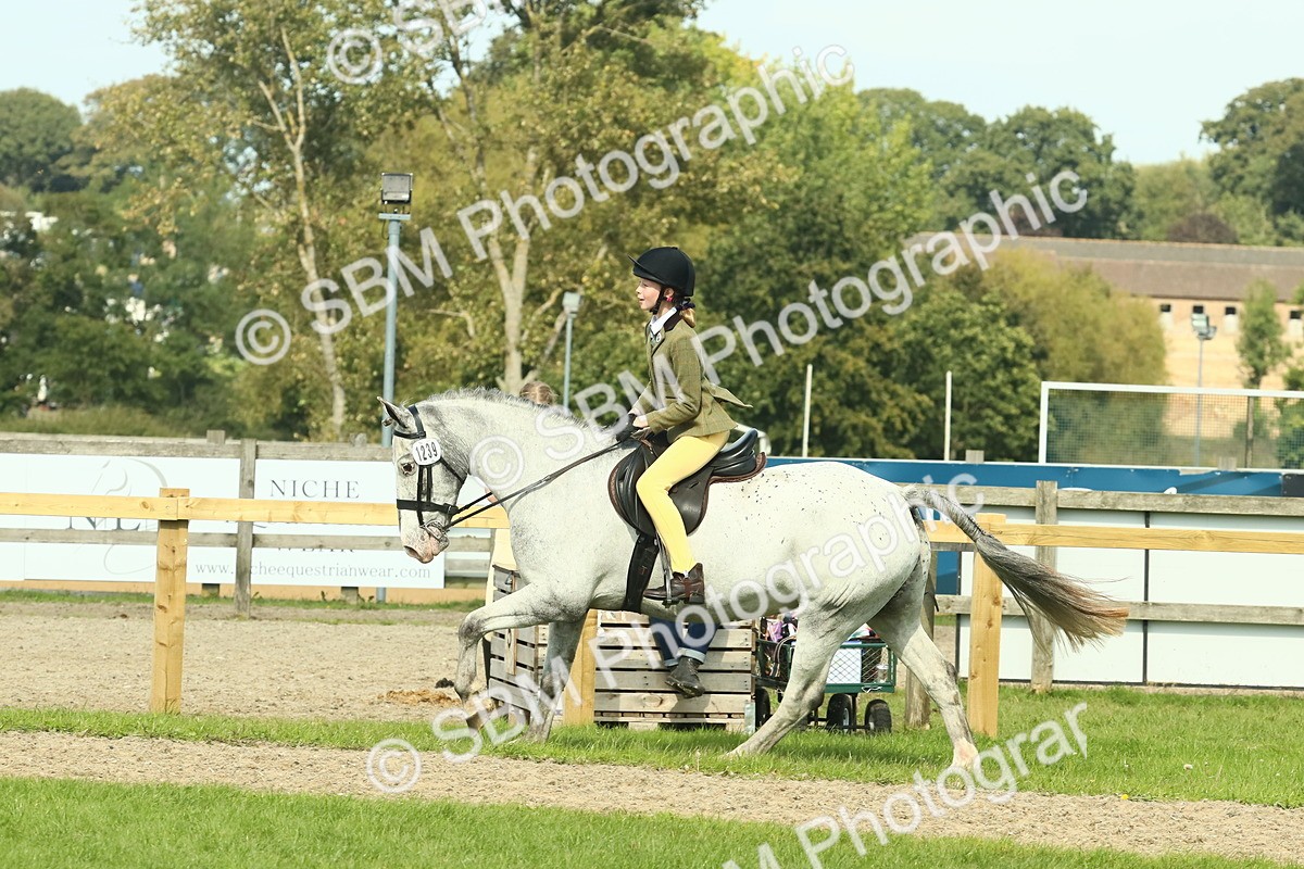 SBM_67549 - S56 - Coloured Pony Ridden