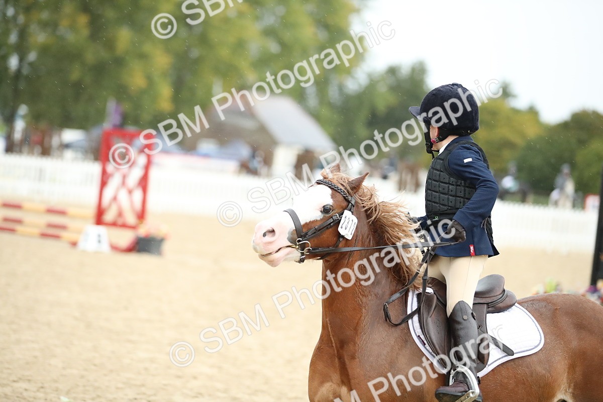 SBM_34529 - J60 Clear Round 50cm