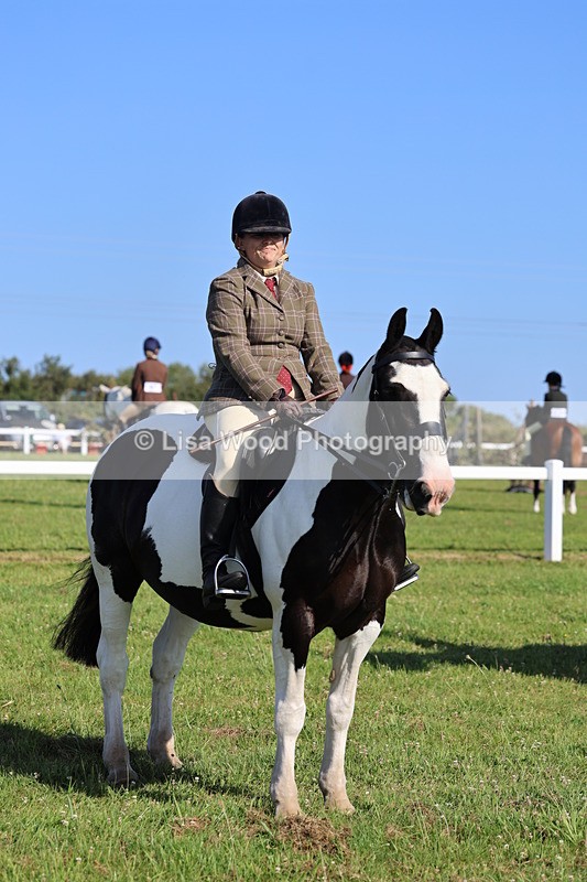 IMG_1533 - Class 30: Ridden Native/Trad Coloured Pony