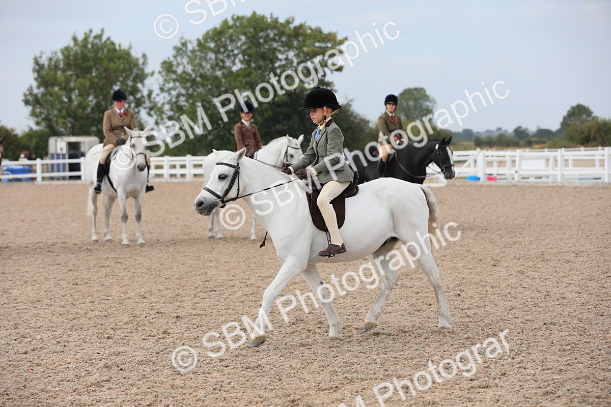 SBM_16913 - Class 314 Family Horse/Pony
