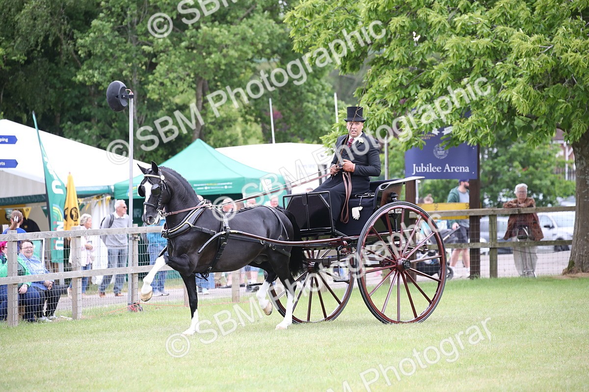 SBM_05767 - Class 12-15 - HOYS Private Driving