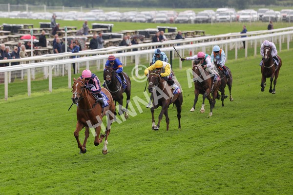 150524-Race 1-Crystal Delight-1429 - Race 1 2.15pm Sky Bet Race To The Ebor Jorvik Handicap