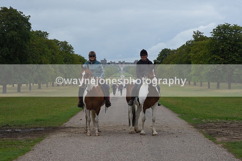 TT3_9569 - Time at Crossing 11:28 to 13:16