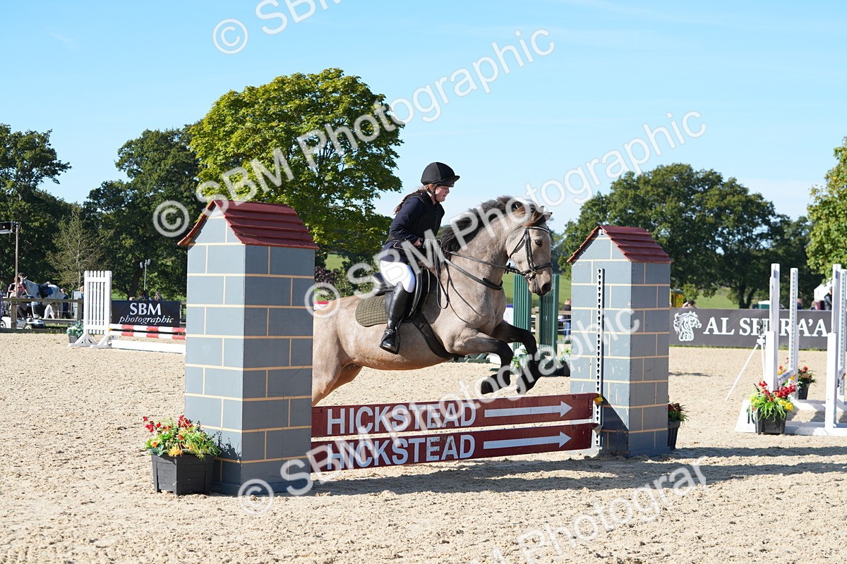 SBM_36138 - J 20 - Junior Horse 50cm Championship