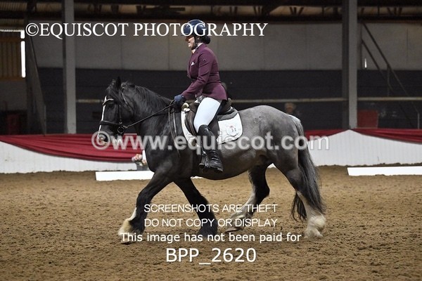 BPP_2620 - MFS PRELIM