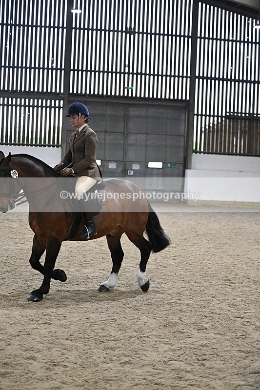 WJ7_3996 - Class 17 Ridden Cob