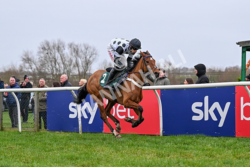 281225-Race 3-Supreme George-0427 - Race 3