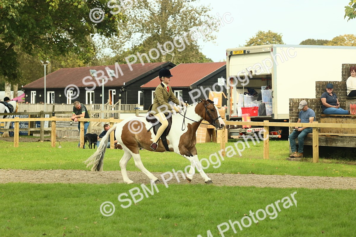 SBM_68131 - S57 - Part Bred Pony Ridden