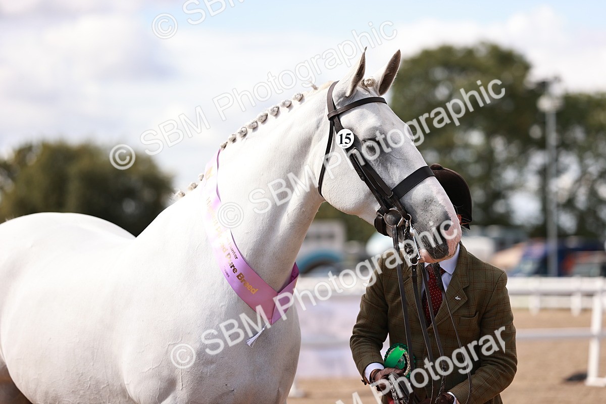 SBM_13372 - class 406 - IH Hunter