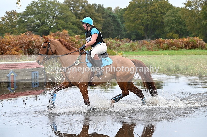 WJ7_2713 - 90cm Cam 2 Water Time 13:05 to 13:27