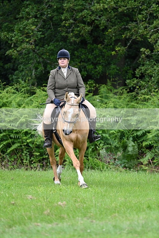 WJ7_2053 - Class 12A Coloured Class