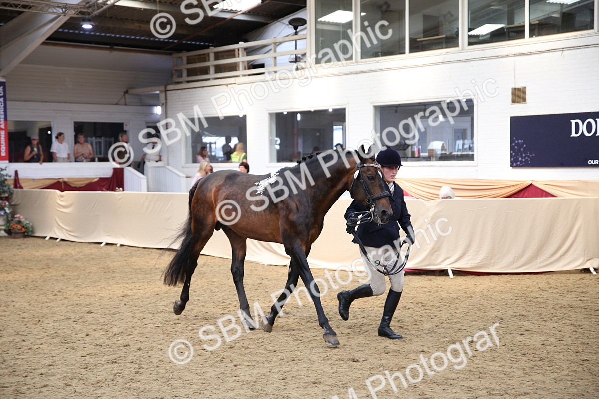 SBM_23422 - Class 904 - Supreme Final Ridden Diamond