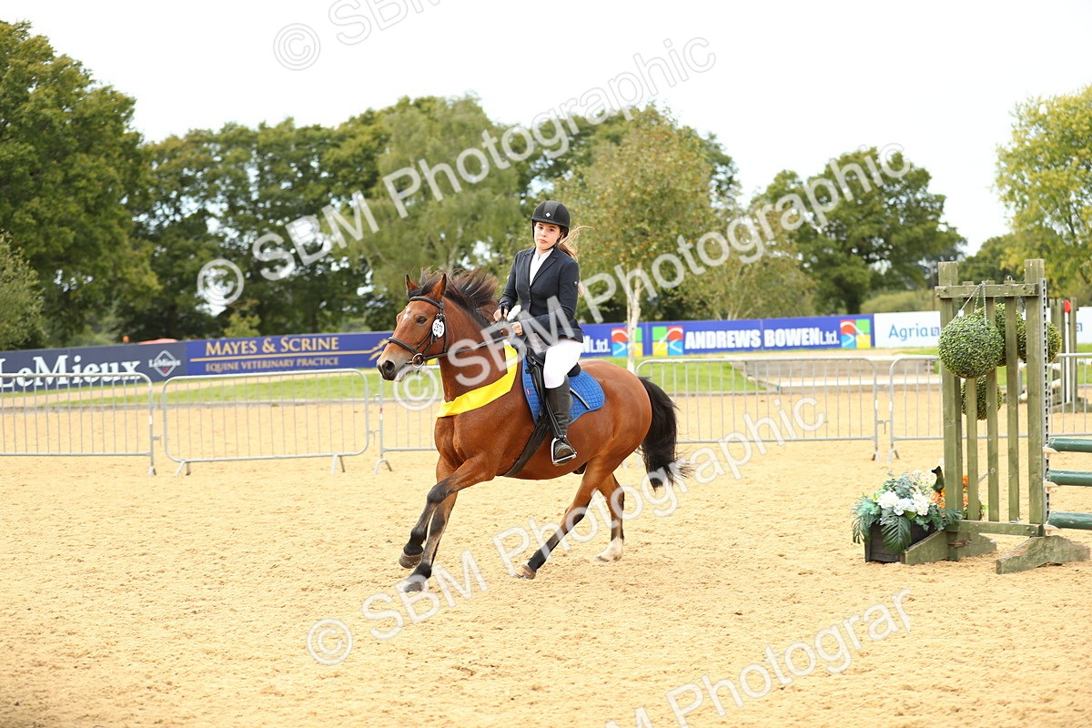 SBM_71339 - J18 - Junior Pony 85cm Championship