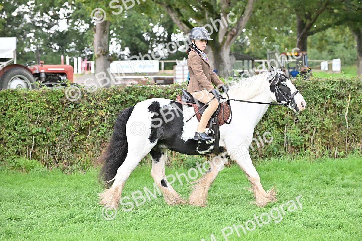 SBM_42925 - S12 - Family Horse & Pony