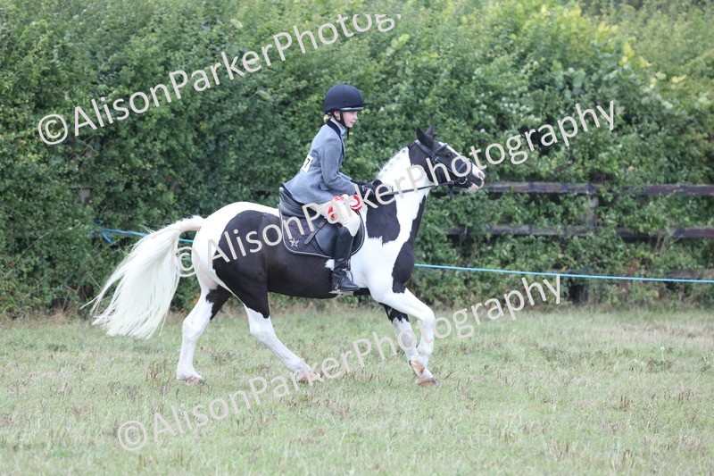 20250831-4367 - Class 20 - Ridden Coloured