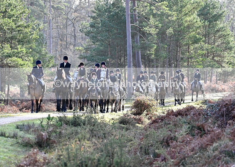 WJ7_7726 - Line 3 (no line 4 or 5)