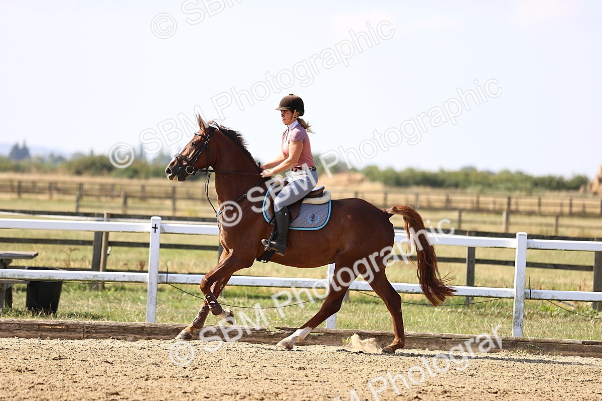 SBM_005599 - Class 9 - Senior British Novice - 90cm