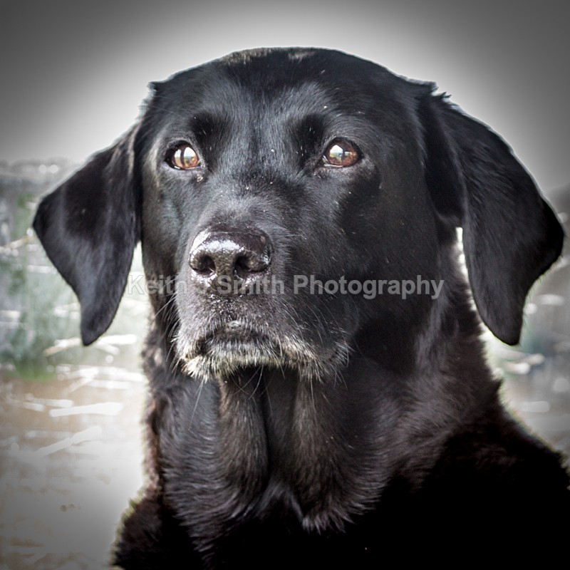 KJS_9366 - Elton Hall Estate. Shoot day.