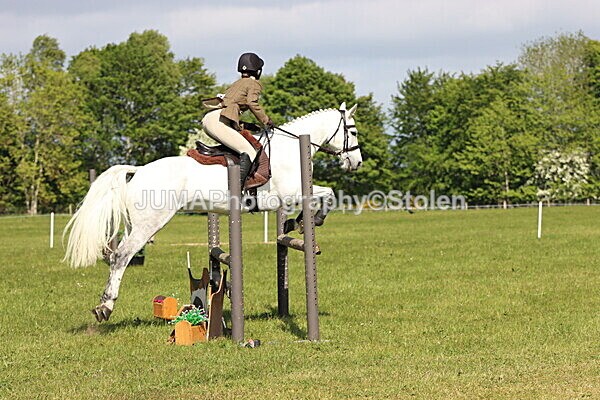 IMG_4819 - Working Hunter