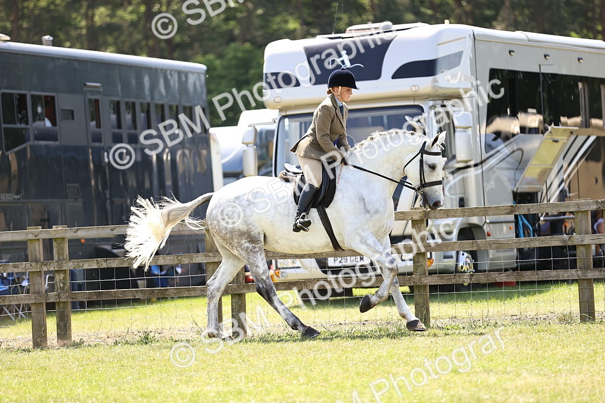 SBM_16222 - Class 79-80 - LIHS BSHA Rising Star Ridden Hunter