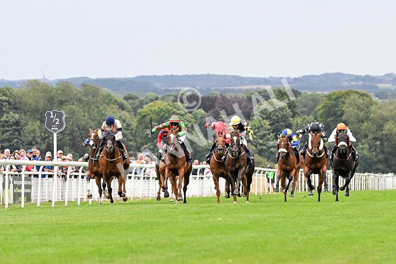 150824-Race 4-Opal Storm-4184 - Race 4