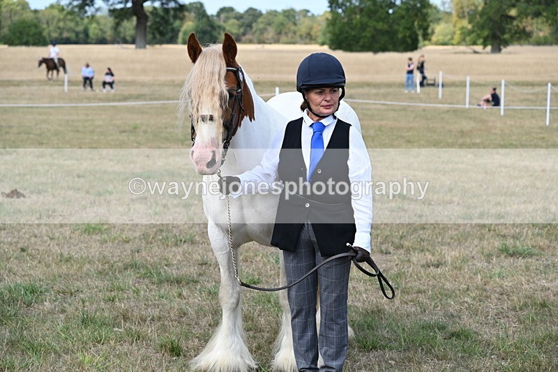 WJ6_6693 - Class 20 In-hand Cob