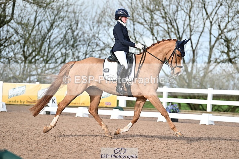 240218A-114128-06800 - 272-Beth.Bainbridge-Newton.Dreamcatcher