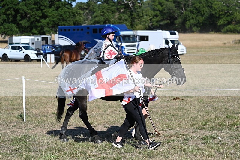 WJ7_2822 - Class 45 Fancy Dress (My Fav)