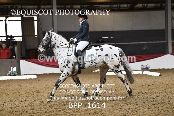 BPP_1614 - PC GRASSROOTS DRESSAGE