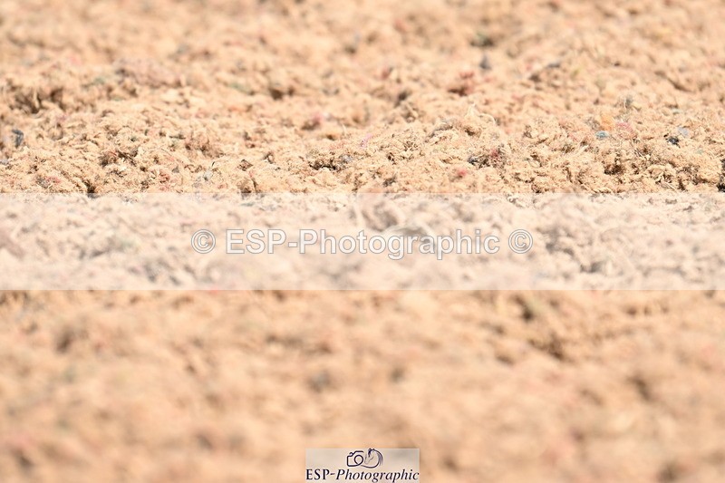 240621A-110202-01502 - Cls 4 BD Novice 22