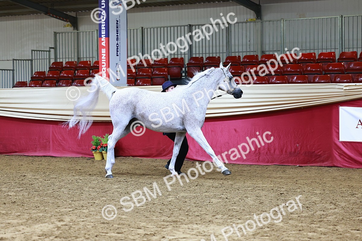 SBM_22135 - Class 902 - Supreme Final - IH Diamond