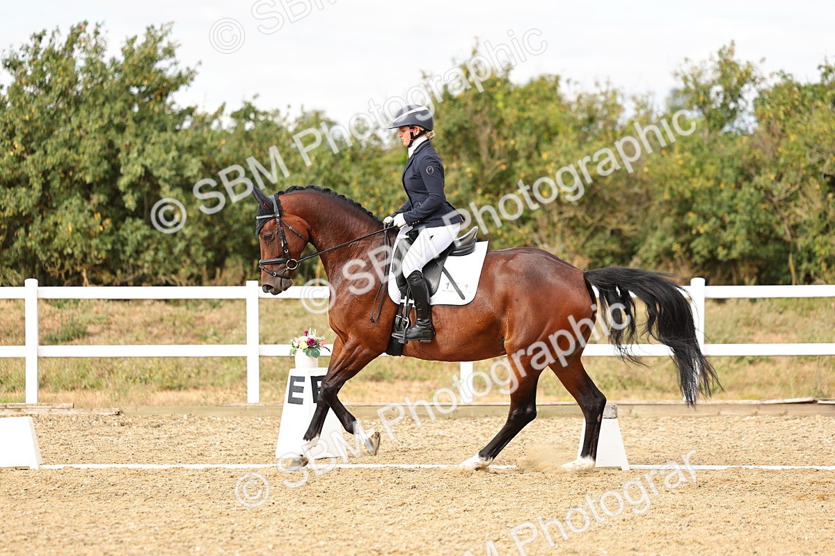 SBM_007451