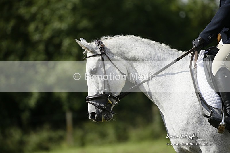 BVRC 120921 395 - Bourne Valley Riding Club UA Dressage & Show Jumping 12/09/21
