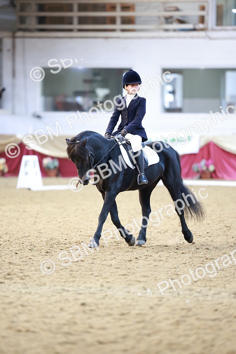SBM_09210 - Class 61 - Dressage to Music