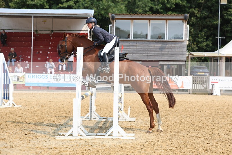 3E7A1361 - Class 4: Senior British Novice/90cm open