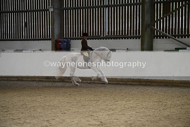 WJ7_3753 - Class 16 Ridden Coloured/ Odd Coloured