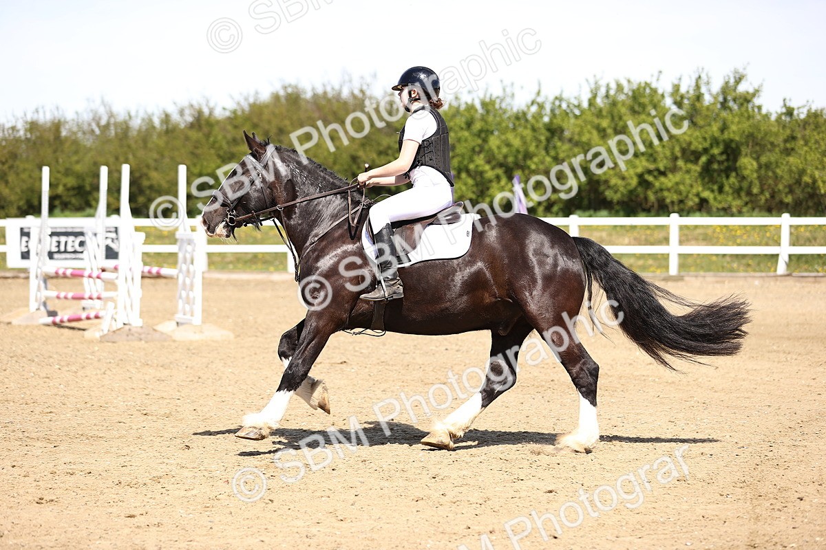 SBM_002028 - 80cm