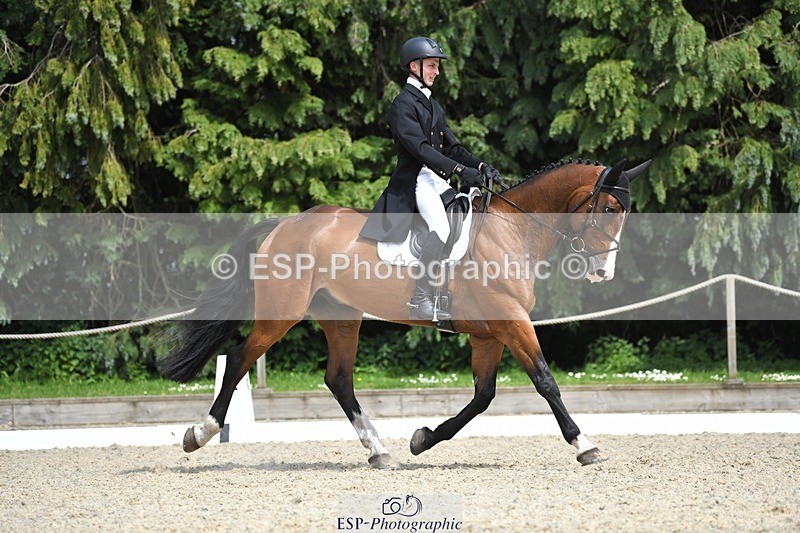 230525-151016-03204 - 325-LONESTAR-Thomas_Hawke-WEDTrotUp+DR