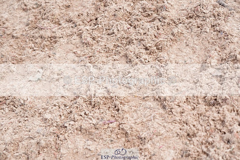 250511-151334-14665 - Cls 35 1.10m Amateur Quali and Open