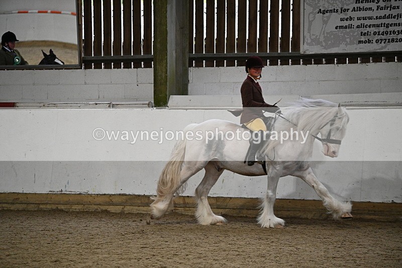 WJ7_4418 - Class 17 Ridden Cob