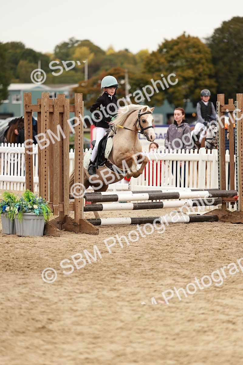 SBM_57913 - J11 - Junior Pony 50cm Championship