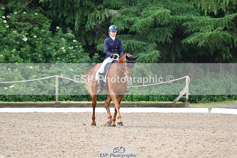 250523A-095316-05384 - C-260-Georgie.Frow-RIVERSTOWN.ROYAL