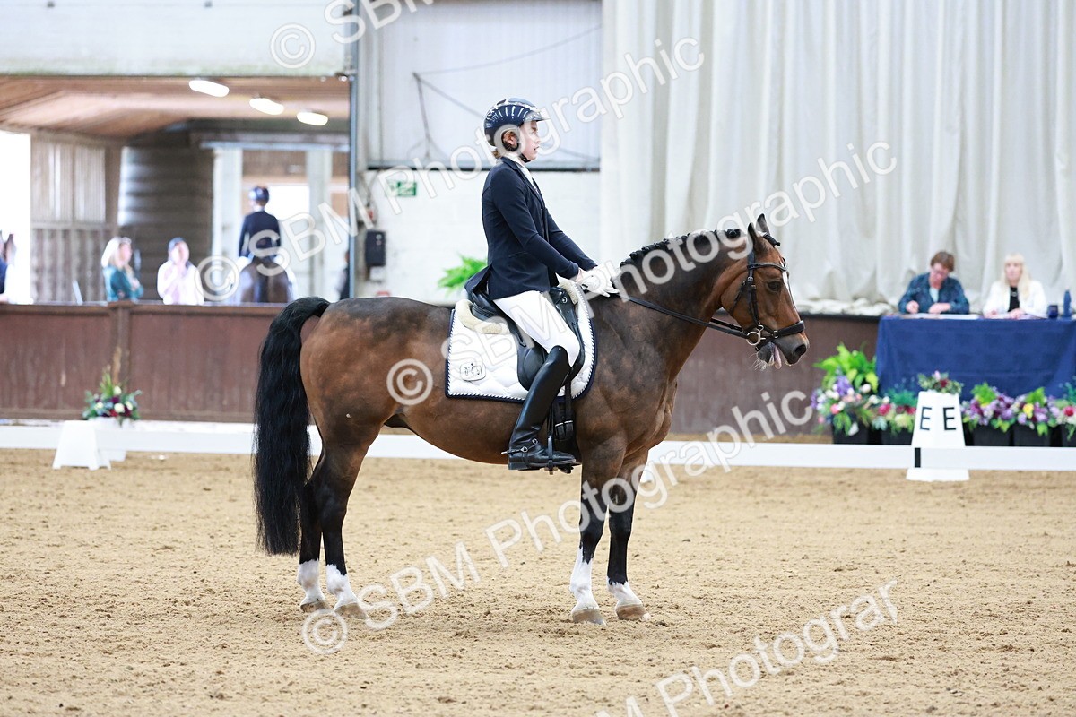 SBM_017127 - Class15 - FEI Pony