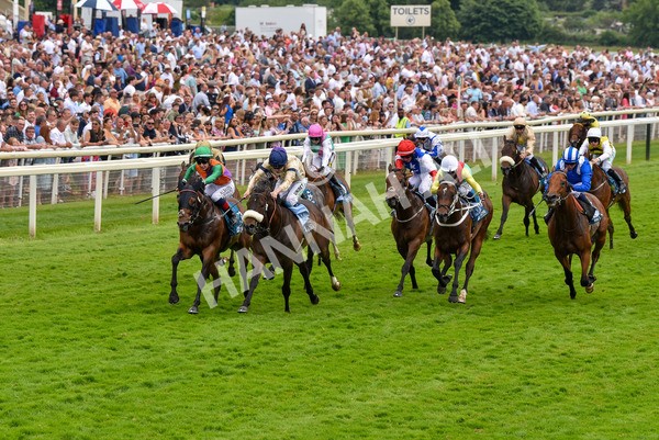 170623-Race 4-Quinault-7085 - Race 4 3.40pm Oakmere Homes Supporting Macmillan Sprint Handicap