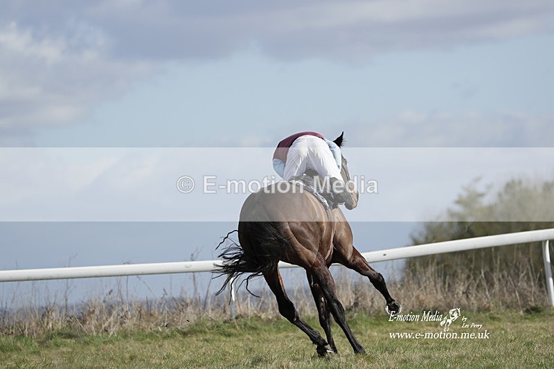 PtP 260223 519 - South & West Wilts Point-to-Point Larkhill 26/02/23