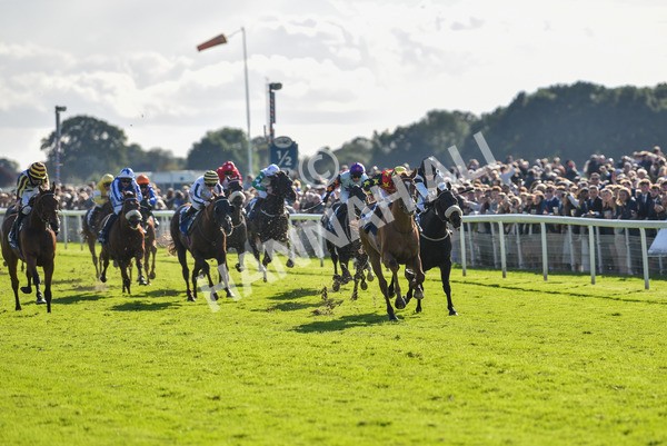 141023-Race 3-Montassib-0979 - Race 3 2.25pm Coral Sprint Trophy Handicap
