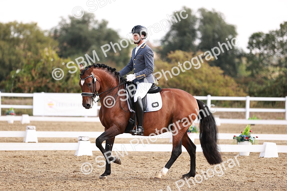 SBM_017605 - Class 11 - Advanced Medium 6