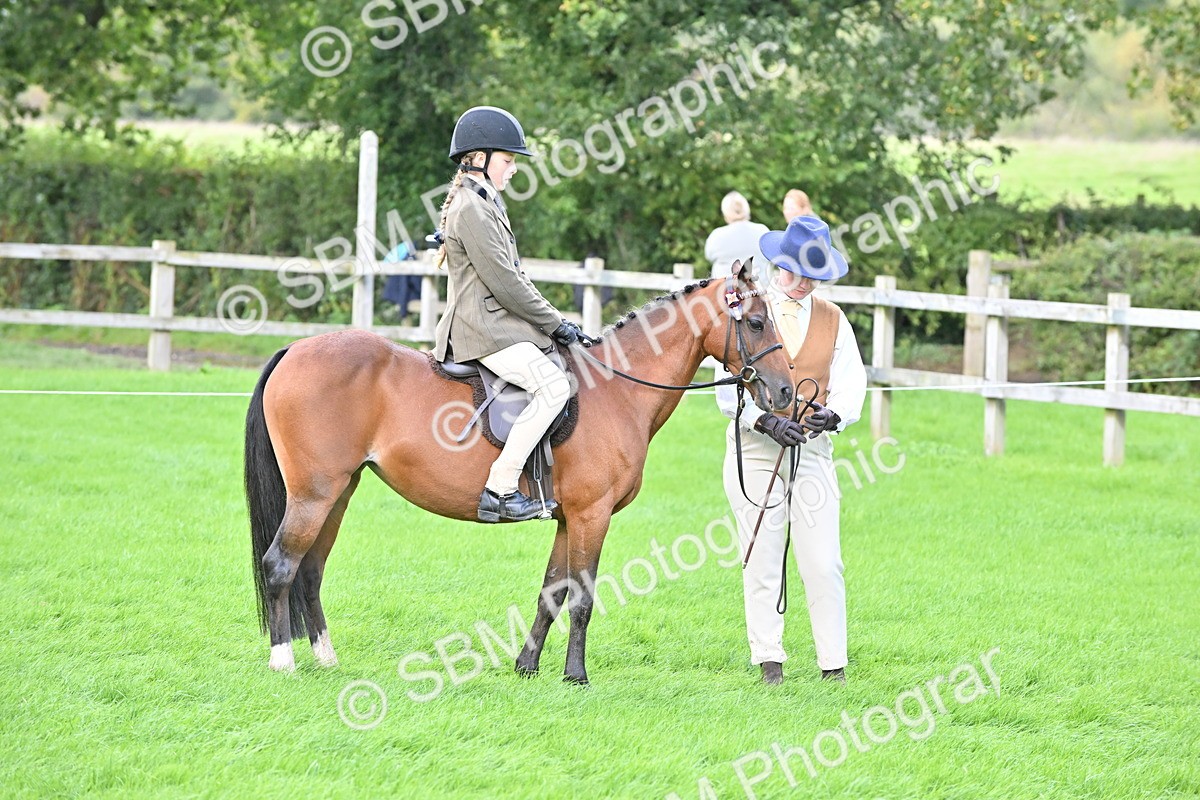 SBM_38321 - S19 - Lead Rein Show & Show Hunter Pony