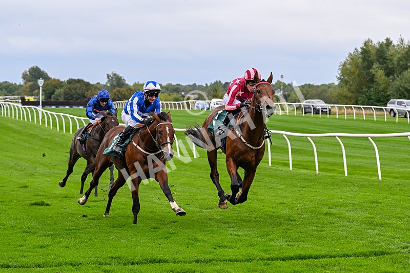 011025-Race 3-Real American-0249 - Race 3